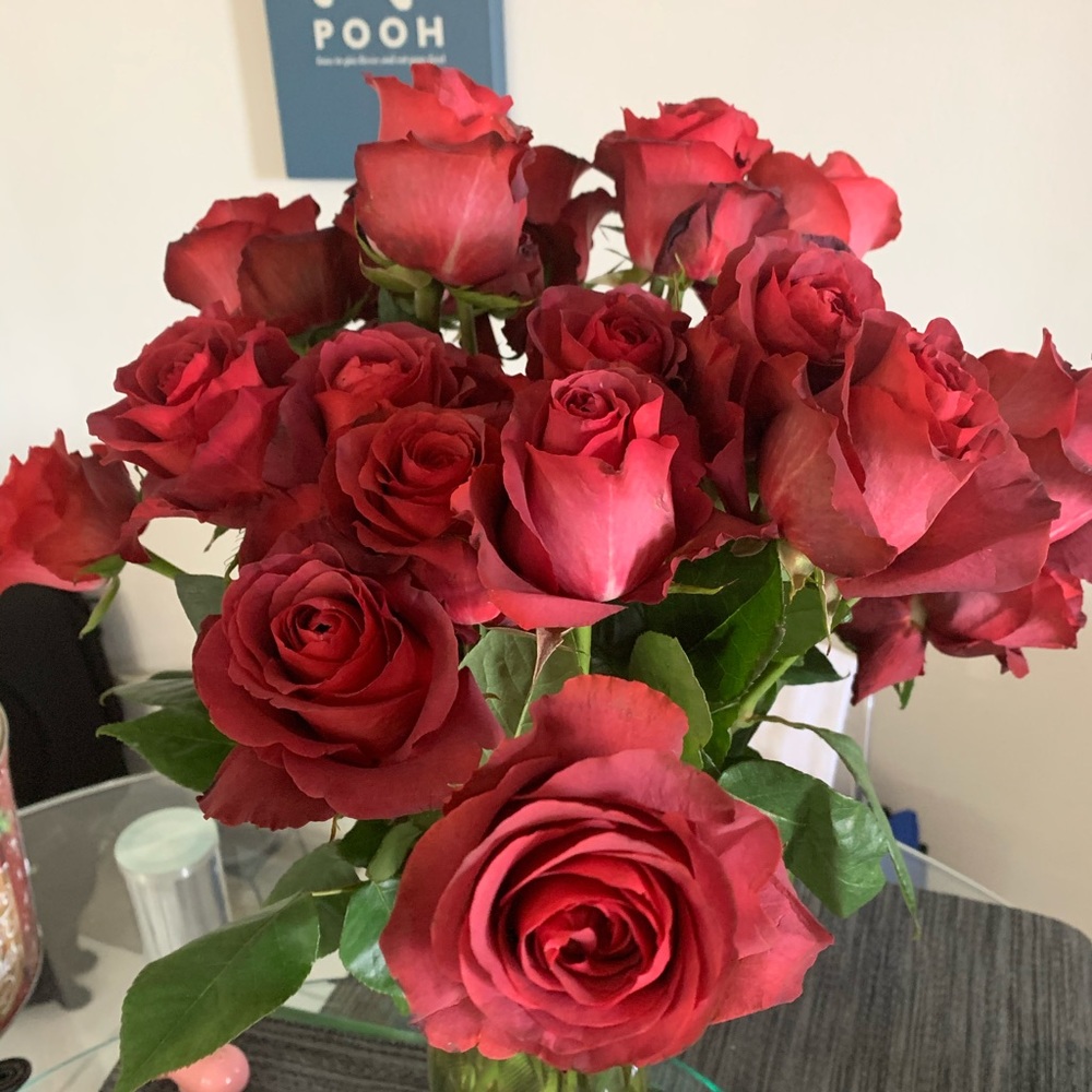 Meet your Posher, Yulia